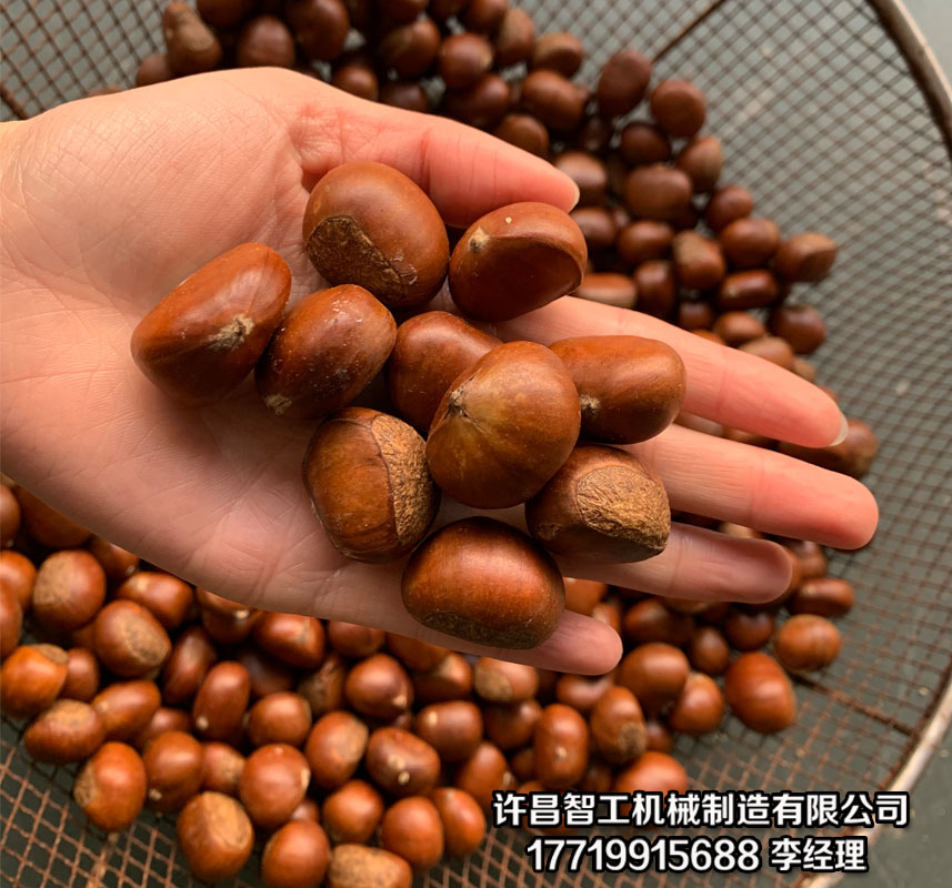 炒货机
