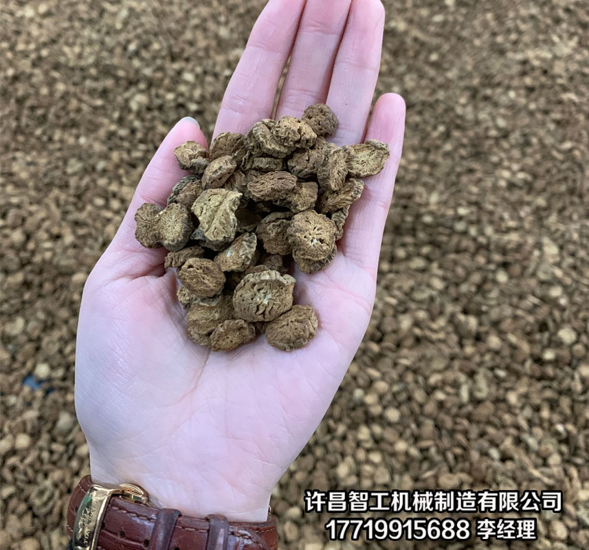 炒货机厂家