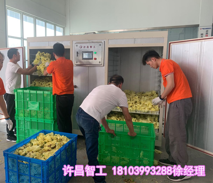 黄蜀葵烘干机