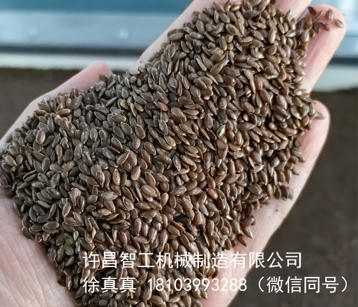 炒亚麻籽机器