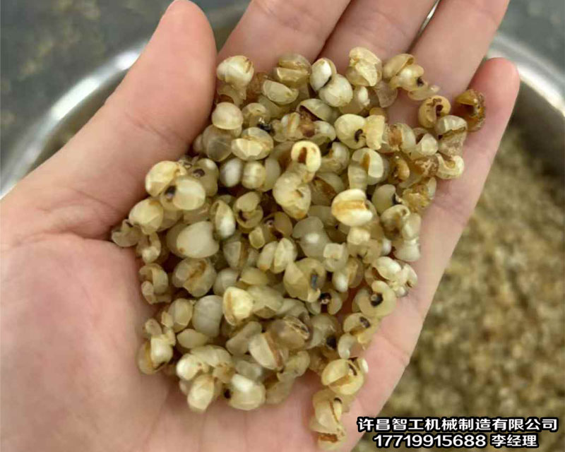 流水线炒货机