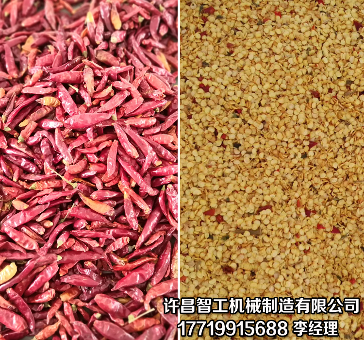 炒辣椒机