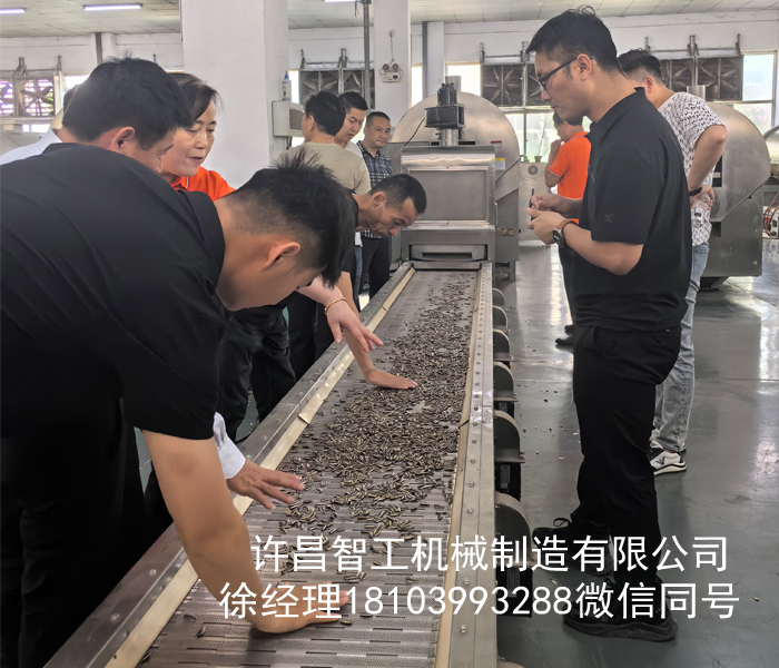 河南客户来厂试机全自动炒瓜子流水线
