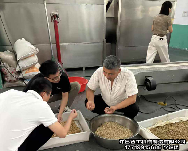 安徽客户来厂试机电磁流水线炒货机炒制薏仁米