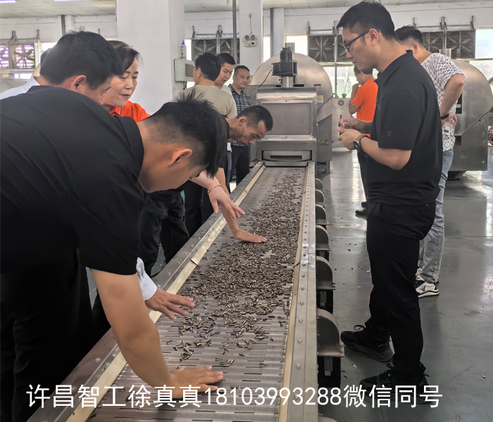 现场试机全自动炒瓜子流水线一小时1吨