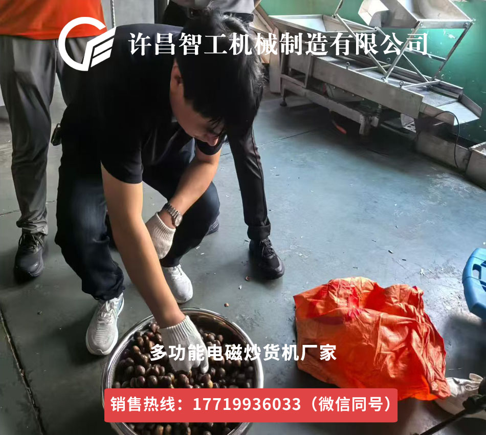 上海客户来厂试机加工炒制板栗